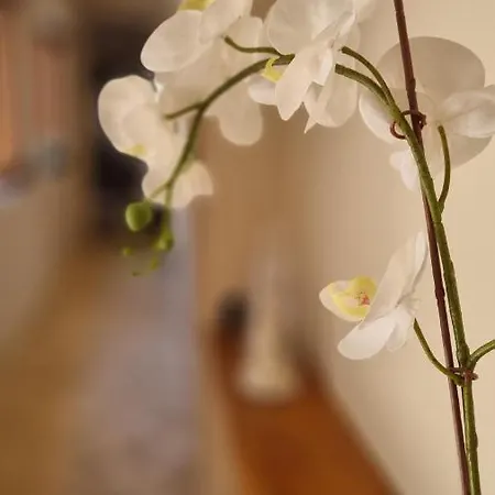 Giulia Apartment